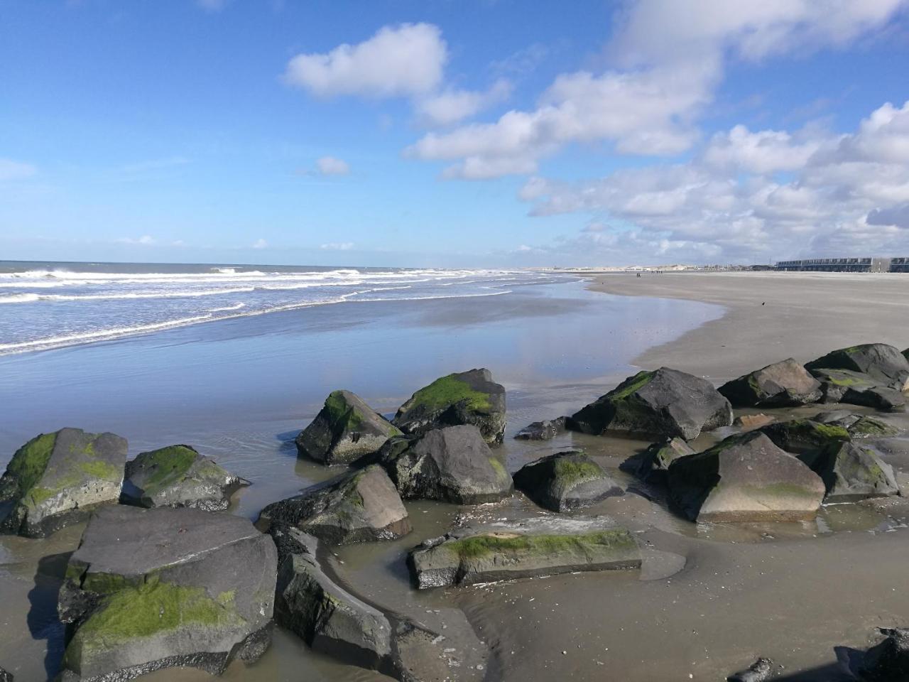 Hotel Noordzee Hoek van Holland Dış mekan fotoğraf